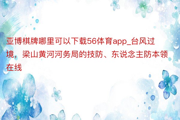 亚博棋牌哪里可以下载56体育app_台风过境，梁山黄河河务局的技防、东说念主防本领在线
