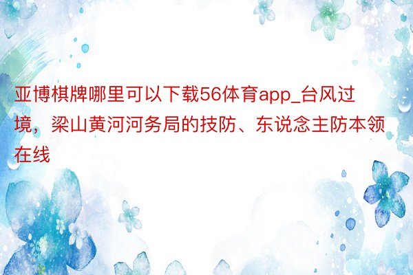 亚博棋牌哪里可以下载56体育app_台风过境，梁山黄河河务局的技防、东说念主防本领在线